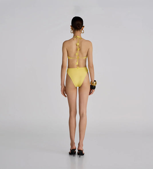 Delphi Bikini Mimosa