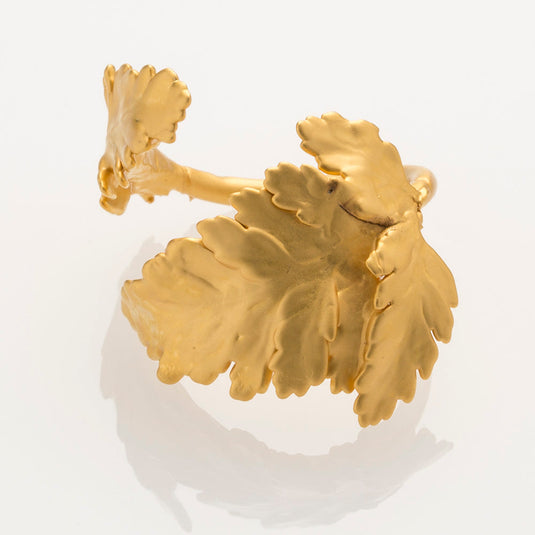 Anillo Helecho