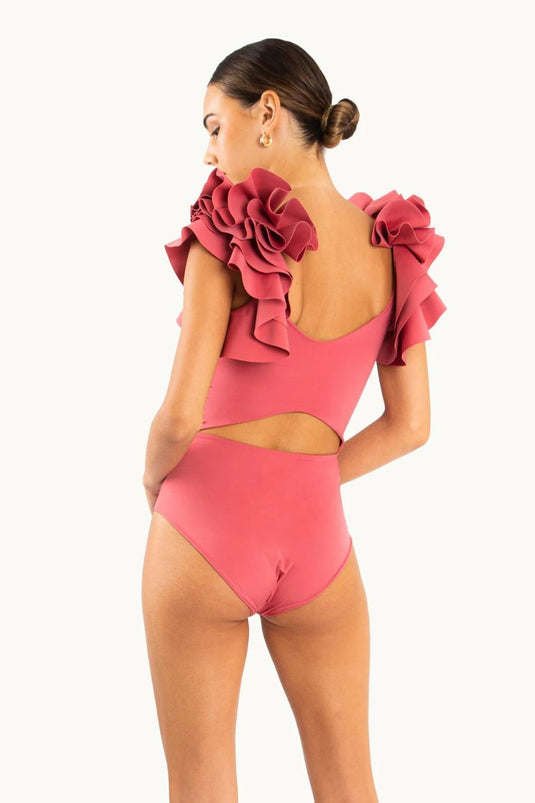 Coral Body