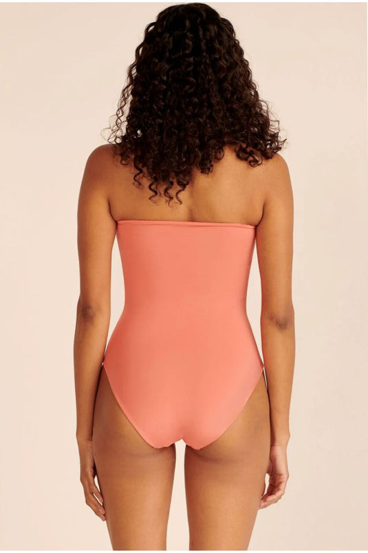 Icaco Body