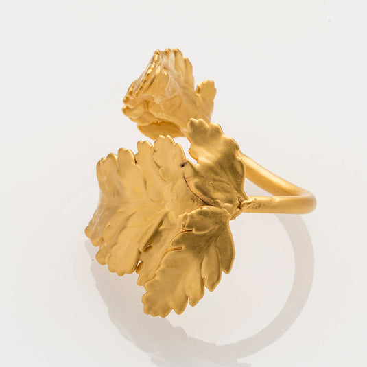 Anillo Helecho