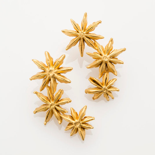 Aretes Arco Anis
