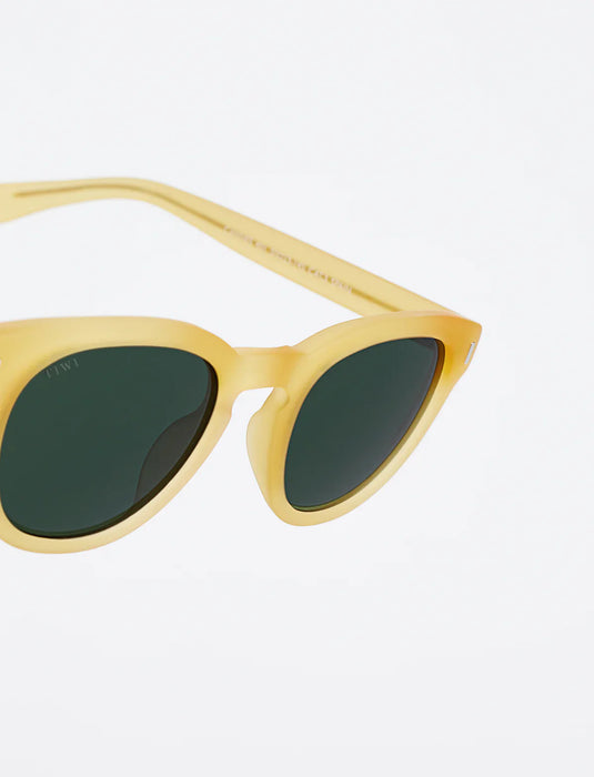 Sunglasses Cannes